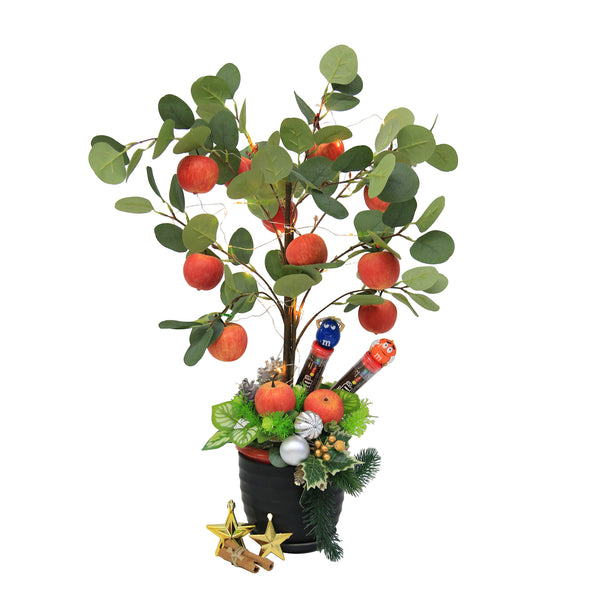 Christmas Apple Tree | MF8 - Jade Valley Gifts & Floral Design Centre