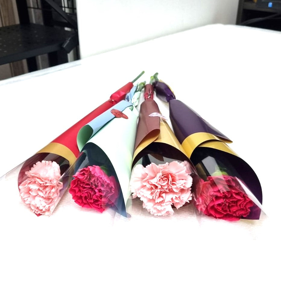 Single Carnaton/Bundle of 4 - Jade Valley Gifts & Floral Design Centre