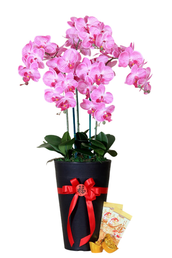Artificial Real-Touch Oriental Orchid  | ART35 - Jade Valley Gifts & Floral Design Centre