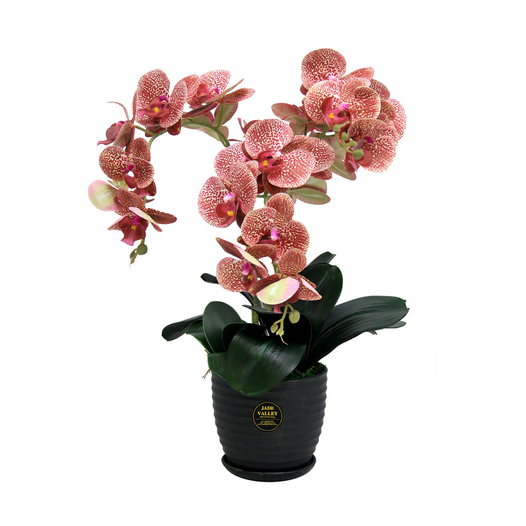 Artificial Real-Touch Oriental Orchid  | ART49 - Jade Valley Gifts & Floral Design Centre