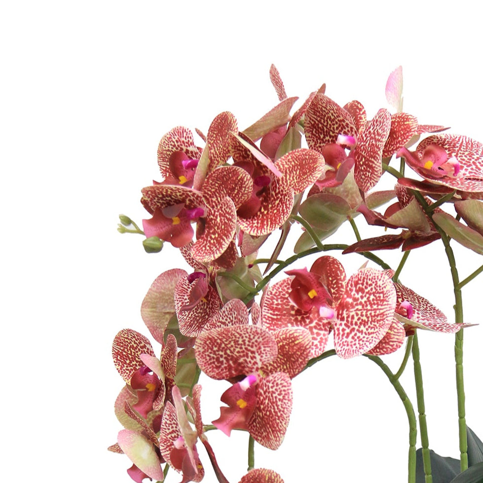 Artificial Orchid Arrangement - 100cm Grand Size | ART43 - Jade Valley Gifts & Floral Design Centre