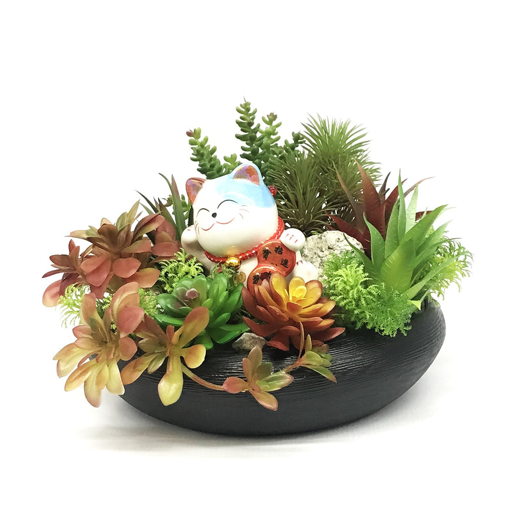 Congratulatory Grand Opening Succulent Flower with Lucky Cat | FO235 - Jade Valley Gifts & Floral Design Centre