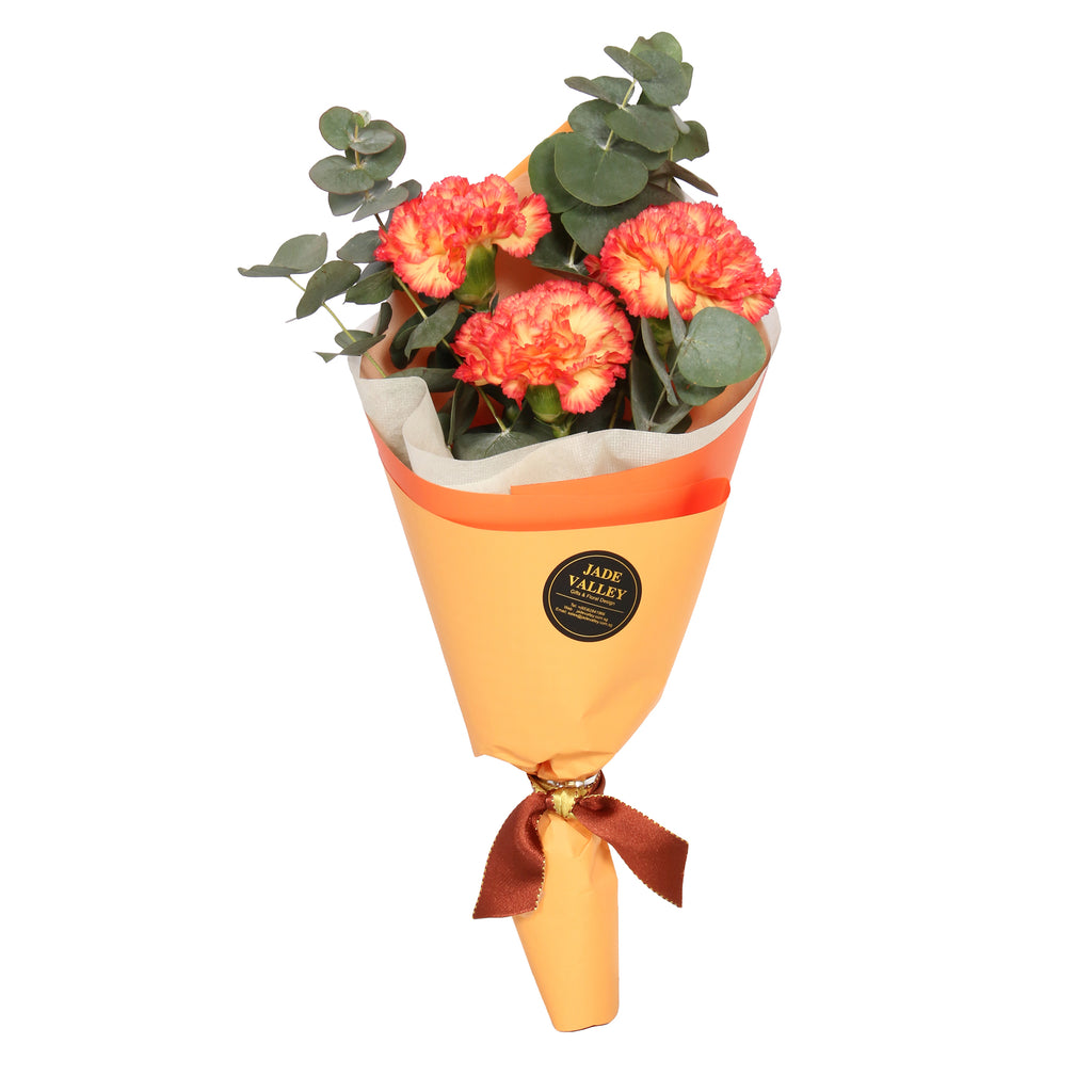 Get Well Hamper | FF175A-B - Jade Valley Gifts & Floral Design Centre