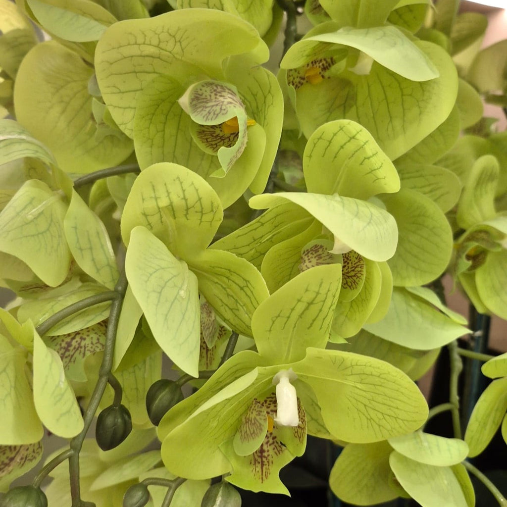 Artificial Real-Touch Oriental Orchid  | ART41 - Jade Valley Gifts & Floral Design Centre