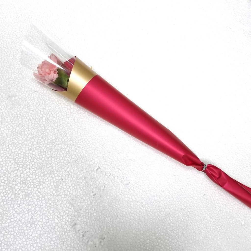 Single Carnaton/Bundle of 4 - Jade Valley Gifts & Floral Design Centre