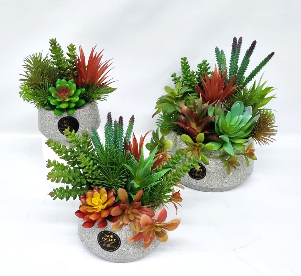 Artificial Succulent Plant | ART48 - Jade Valley Gifts & Floral Design Centre