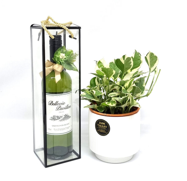 Wine & Planter | GT273 - Jade Valley Gifts & Floral Design Centre