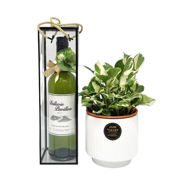 Wine & Planter | GT273 - Jade Valley Gifts & Floral Design Centre
