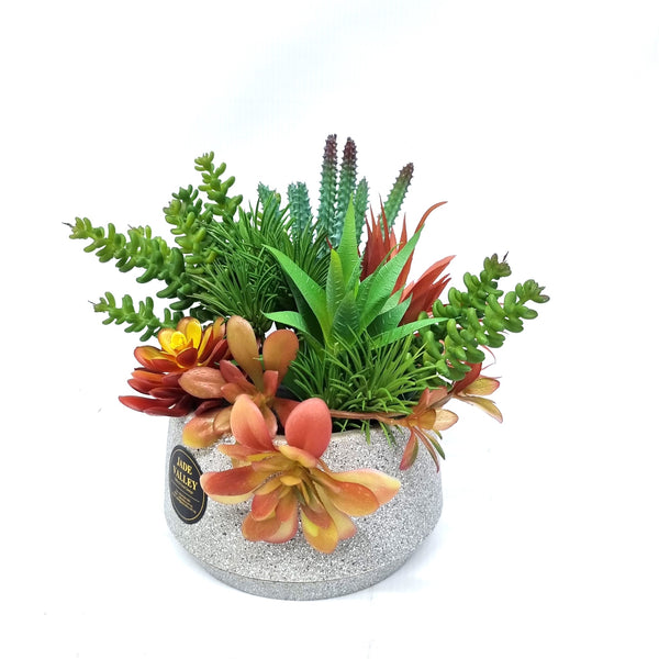 Nescafe Coffee Maker with Planter | GT263 - Jade Valley Gifts & Floral Design Centre