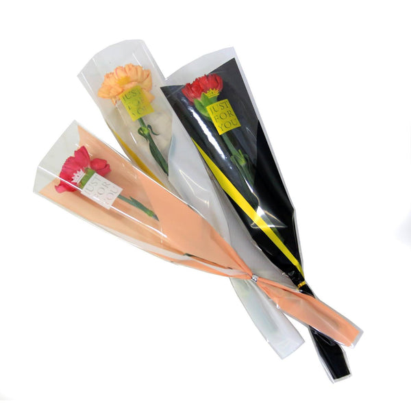 Single Stalk Carnation | V55 - Jade Valley Gifts & Floral Design Centre