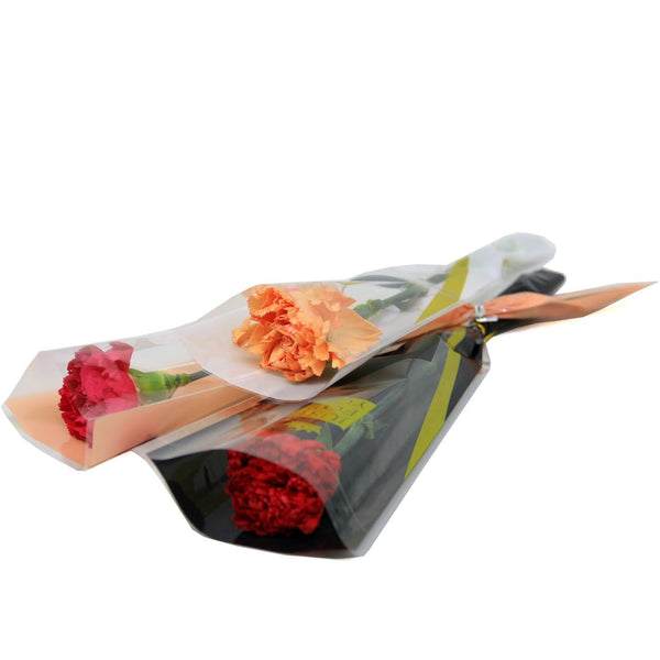 Single Stalk Carnation | V55 - Jade Valley Gifts & Floral Design Centre