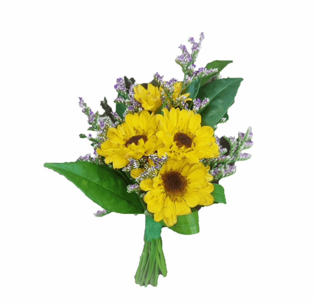 All Occasion Corsage - Damage Free Magnetic Pins | WDC62 - Jade Valley Gifts & Floral Design Centre