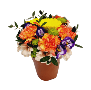 Aroma Diffuser with Fresh Cut Flowers | DF51 - Jade Valley Gifts & Floral Design Centre