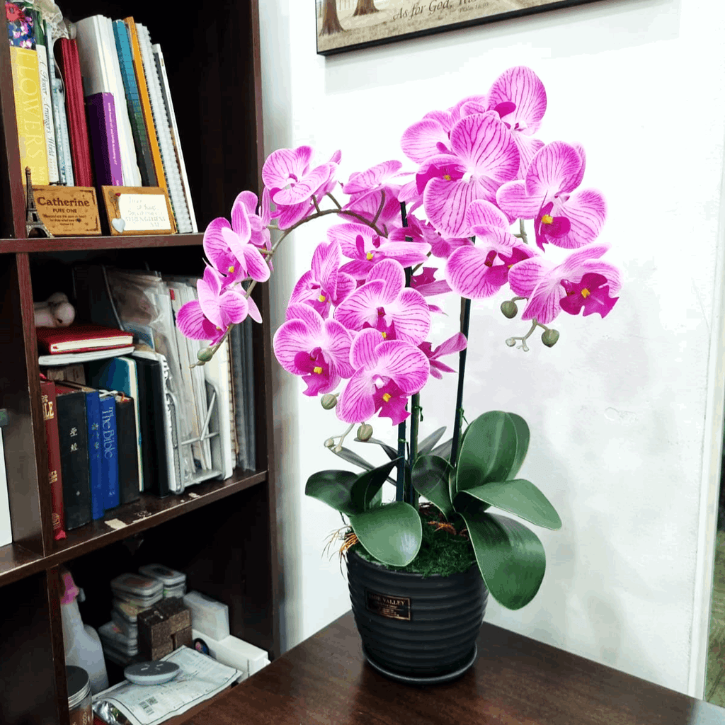 Artificial Real-Touch Oriental Orchid 65cm | ART35 - Jade Valley Gifts & Floral Design Centre