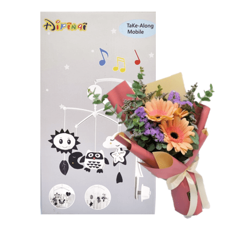 Baby Musical Mobile| B278 - Jade Valley Gifts & Floral Design Centre