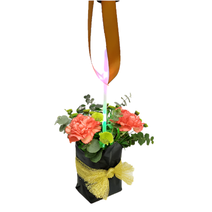 Balloon with Flowers | GT246 - Jade Valley Gifts & Floral Design Centre