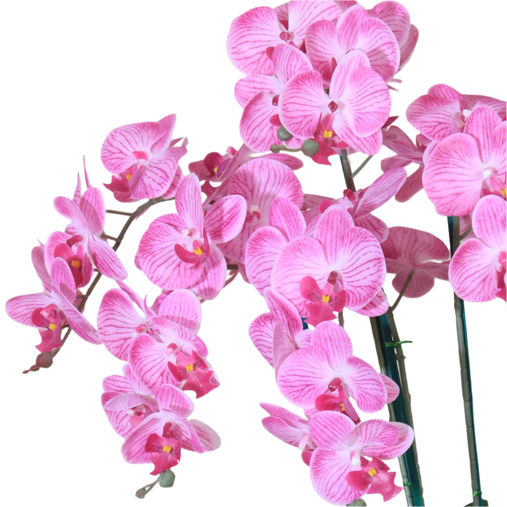 CNY Real-Touch Orchids | CN309 - Jade Valley Gifts & Floral Design Centre
