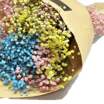 Colourful Baby's Breath Hand Bouquet | BQ156 - Jade Valley Gifts & Floral Design Centre