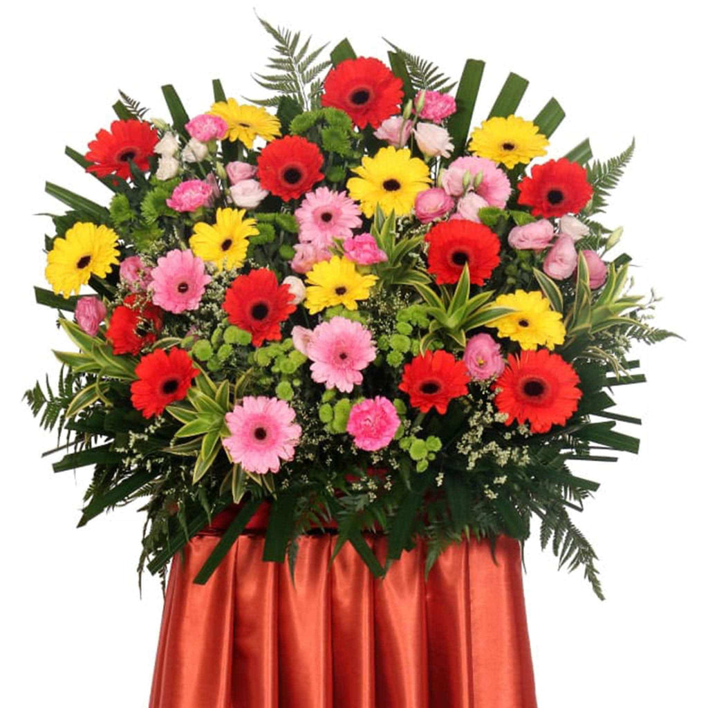 Congratulatory Grand Opening Flower | FO216 - Jade Valley Gifts & Floral Design Centre