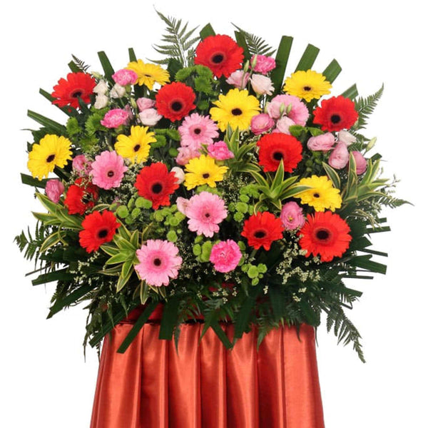 Congratulatory Grand Opening Flower | FO216 - Jade Valley Gifts & Floral Design Centre