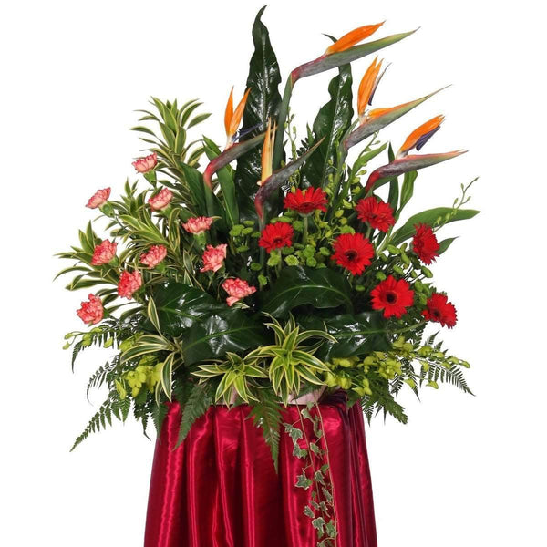 Congratulatory Grand Opening Flower | FO217 - Jade Valley Gifts & Floral Design Centre