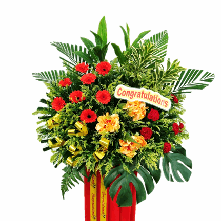 Congratulatory Grand Opening Flower | FO242 - Jade Valley Gifts & Floral Design Centre