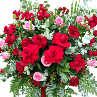 Congratulatory Grand Opening Flower | FO250 - Jade Valley Gifts & Floral Design Centre
