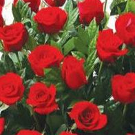 Congratulatory Rose Grand Opening Stand | FO256 - Jade Valley Gifts & Floral Design Centre