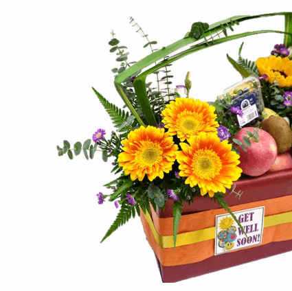 Fruit & Flowers Get Well Basket | FF163 - Jade Valley Gifts & Floral Design Centre