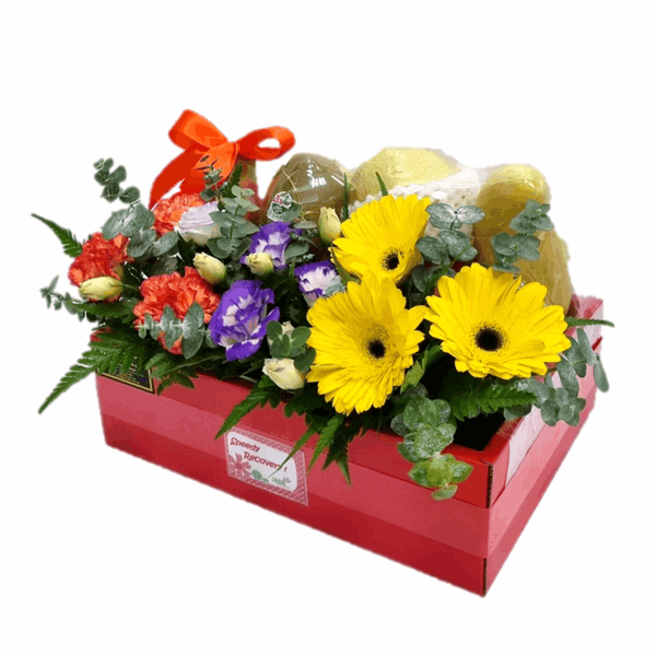 Fruits & Flowers Get Well Gift Box | FF150 - Jade Valley Gifts & Floral Design Centre