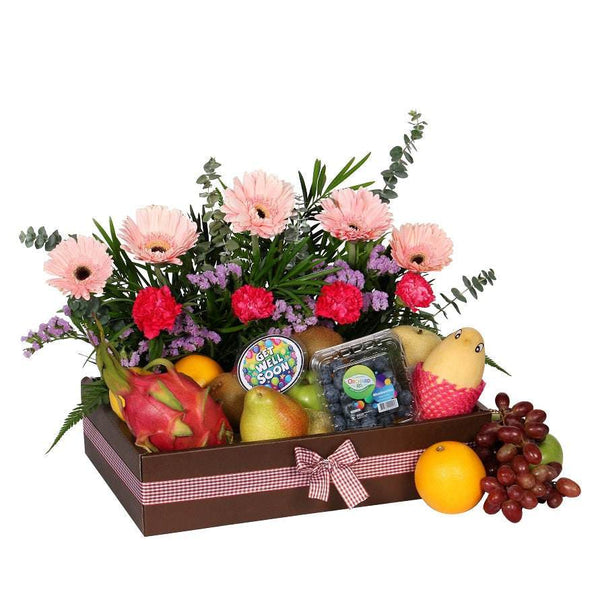 Fruits & Flowers Get Well Hamper | FF153 - Jade Valley Gifts & Floral Design Centre