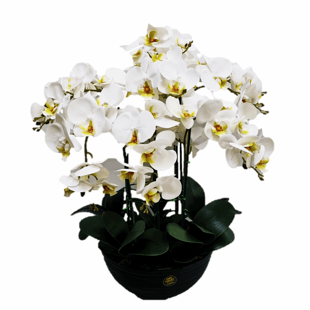 Large Artificial Phalaenopsis Orchid Arrangement | ART37 - Jade Valley Gifts & Floral Design Centre