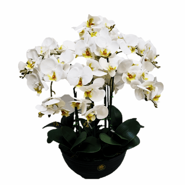 Large Artificial Phalaenopsis Orchid Arrangement | ART37 - Jade Valley Gifts & Floral Design Centre