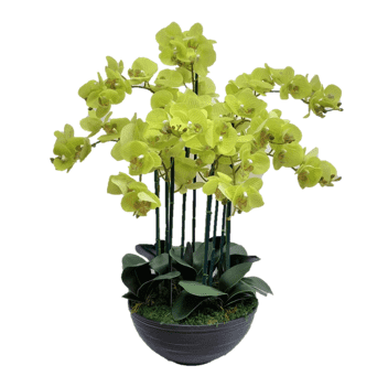 Large Artificial Phalaenopsis Orchid Arrangement | ART37 - Jade Valley Gifts & Floral Design Centre