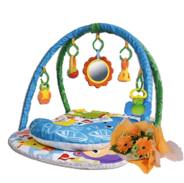 Newborn Baby Play Gym | B254 - Jade Valley Gifts & Floral Design Centre