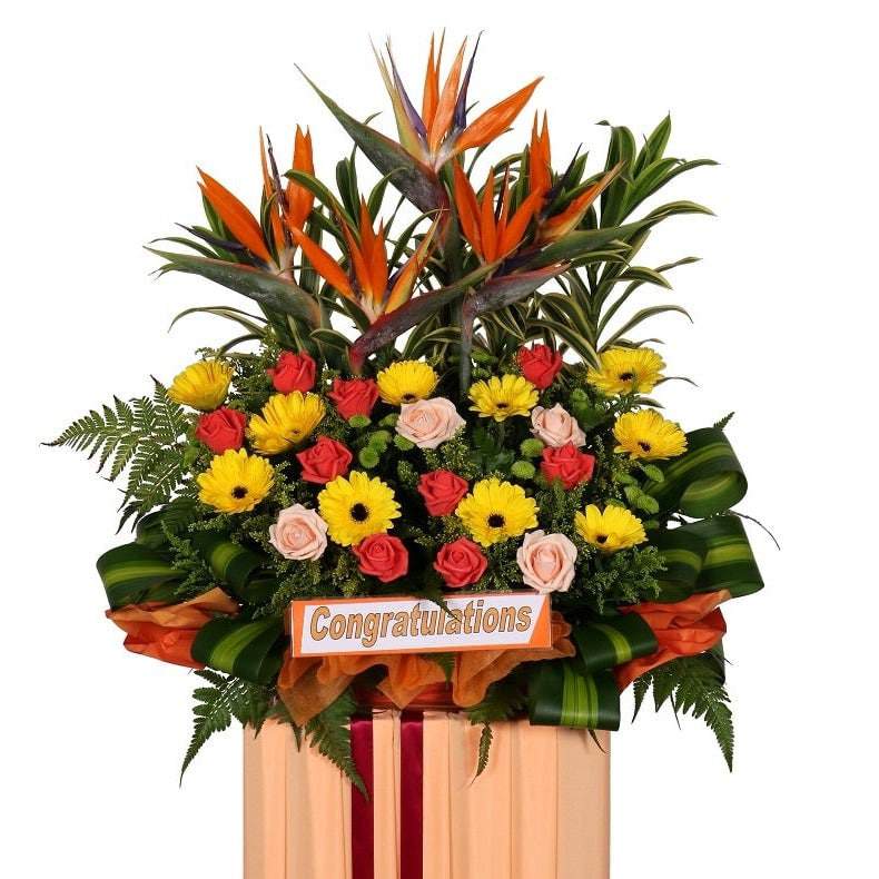 Opening Stand - Bird of Paradise & Daises | FO209 - Jade Valley Gifts & Floral Design Centre