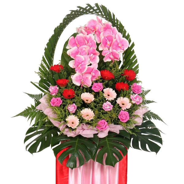 Orchid Arch Opening Stand | FO208 - Jade Valley Gifts & Floral Design Centre