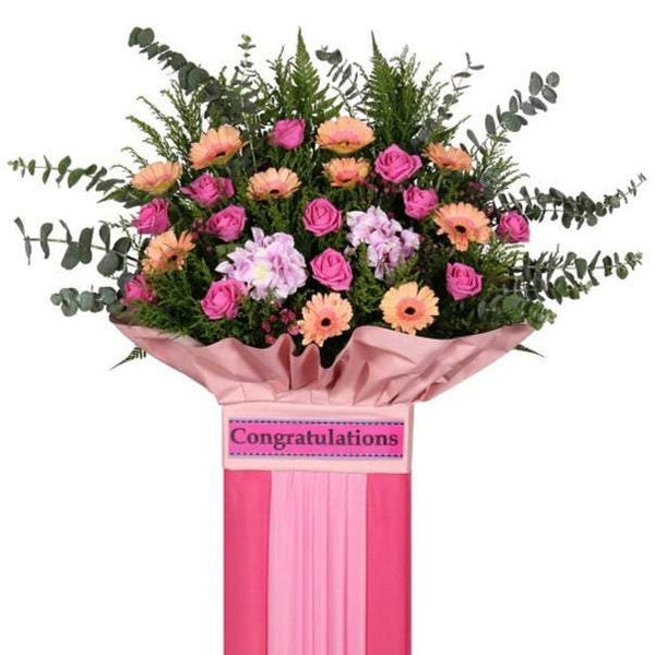 Pink Daisies Grand Opening Stand | FO210 - Jade Valley Gifts & Floral Design Centre