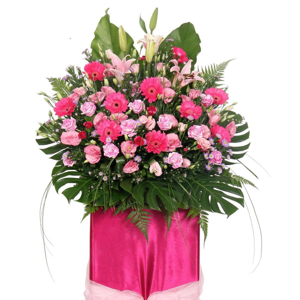 Pretty Pink Daises, Roses Opening Stand | FO211 - Jade Valley Gifts & Floral Design Centre