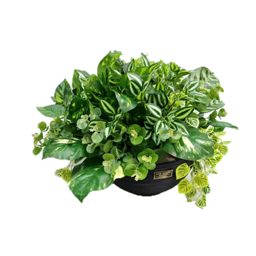 Real-Touch Artificial Potted Plant | ART42 - Jade Valley Gifts & Floral Design Centre