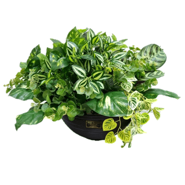 Real-Touch Artificial Potted Plant | ART42 - Jade Valley Gifts & Floral Design Centre
