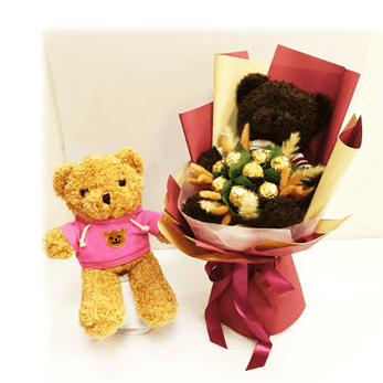 Teddy Bear with Ferrero Rocher | GT255 - Jade Valley Gifts & Floral Design Centre