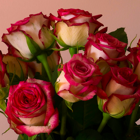 Valentine's Day Rose Bouquet 2024