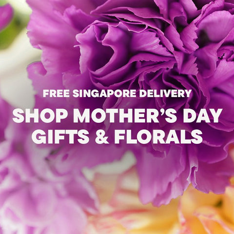 Mother's Day Specials 2024