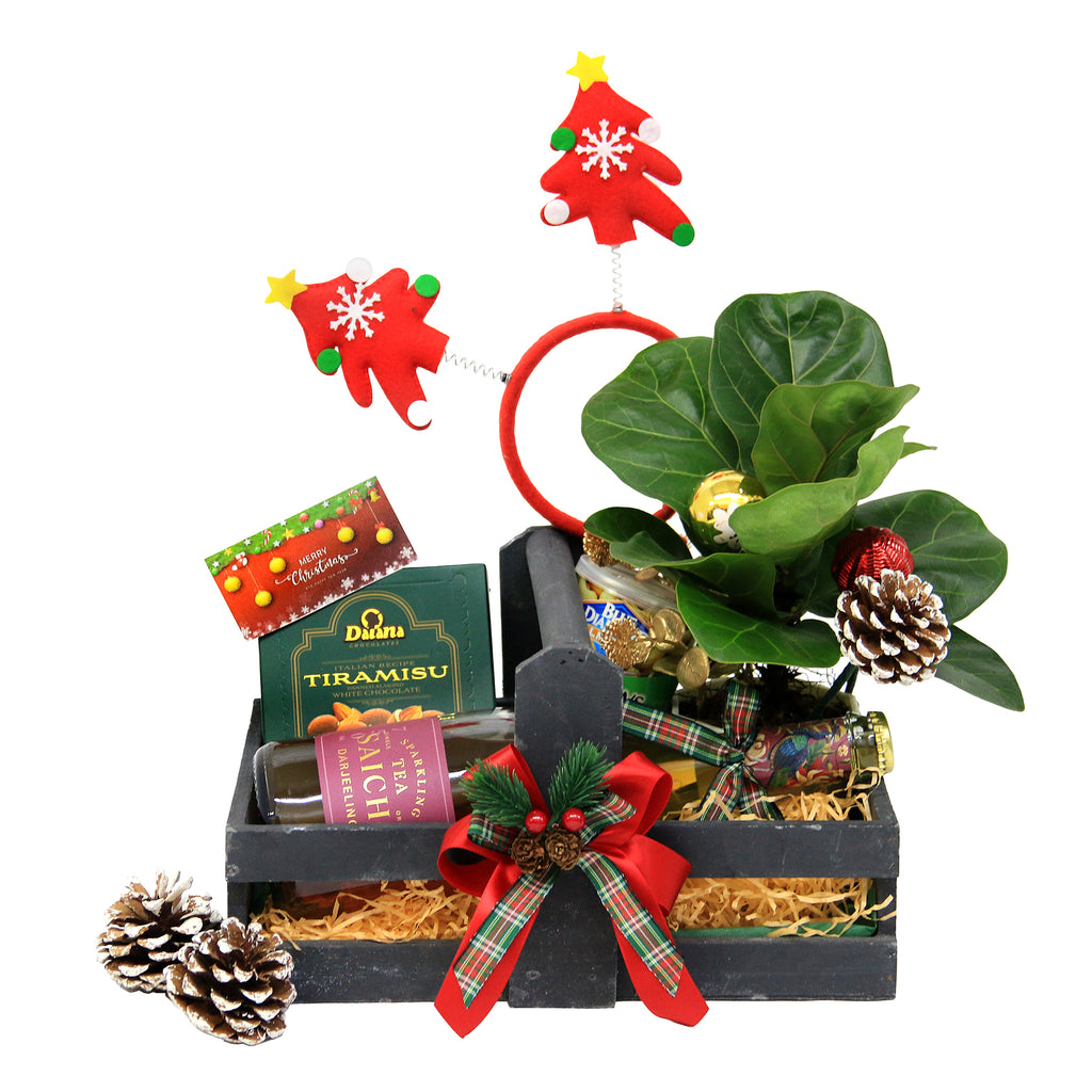 Christmas Hamper & Life Plant | MF12 - Jade Valley Gifts & Floral Design Centre