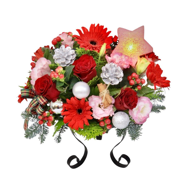 Christmas Flowers with Star Lights| MF71 - Jade Valley Gifts & Floral Design Centre