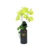 Artificial Oriental Orchid  | ART59 - Jade Valley Gifts & Floral Design Centre