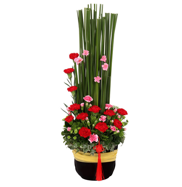 CNY Fresh Flowers | CN314 - Jade Valley Gifts & Floral Design Centre