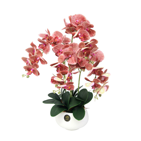 Artificial Real-Touch Oriental Orchid  | ART50 - Jade Valley Gifts & Floral Design Centre