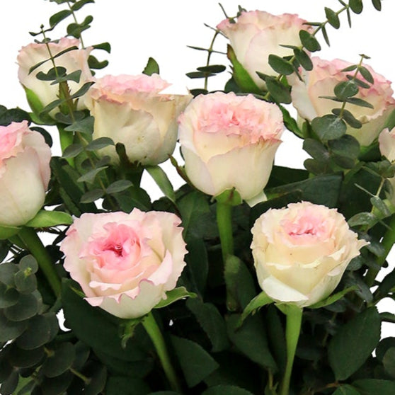 All Roses on Glass Vase | TB137– Jade Valley Gifts & Floral Design Centre